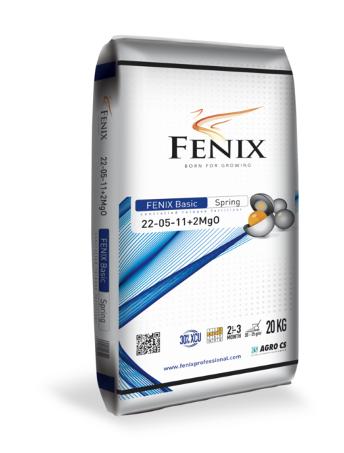 FENIX Basic Spring 22-05-11+2MgO 20 kg